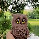 Сова. Мягкие игрушки. Клюева Евгения Beautiful Owl. Интернет-магазин Ярмарка Мастеров.  Фото №2