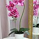 Композиция из одной веточки Орхидеи (разные расцветки), Композиции, Ставрополь,  Фото №1