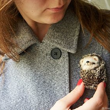 Ёжик брошь. Валяная (войлочная) брошь, игрушка из шерсти.. . Украшения ручной работы - Ярмарка Мастеров Украшения ручной работы. Ярмарка Мастеров - ручная работа Ёжик брошь. Валяная (войлочная) брошь, игрушка из шерсти.. Handmade.