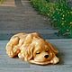 Soap Sleeping dog, Soap, Moscow,  Фото №1