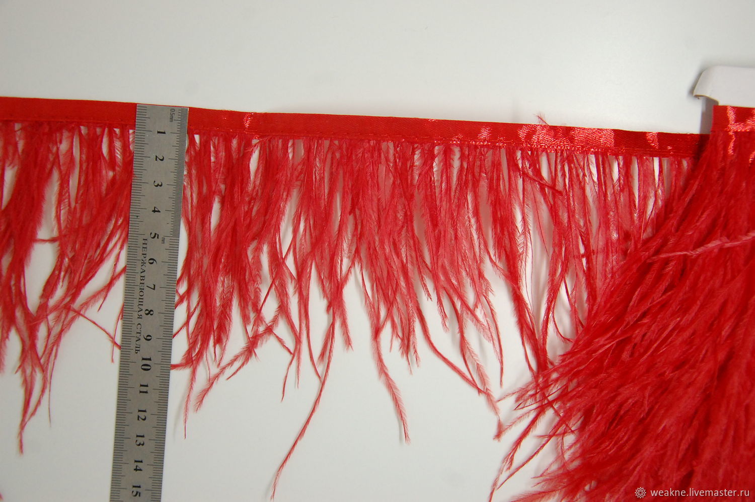 Trim of ostrich feathers 10-15 cm red, braid, Moscow,  Фото №1