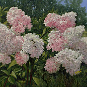 Картины и панно handmade. Livemaster - original item Painting - Hydrangea blooms. Handmade.