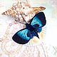Брошь бабочка Альцидес Аврора вышитая объемная, Брошь-булавка, Санкт-Петербург,  Фото №1