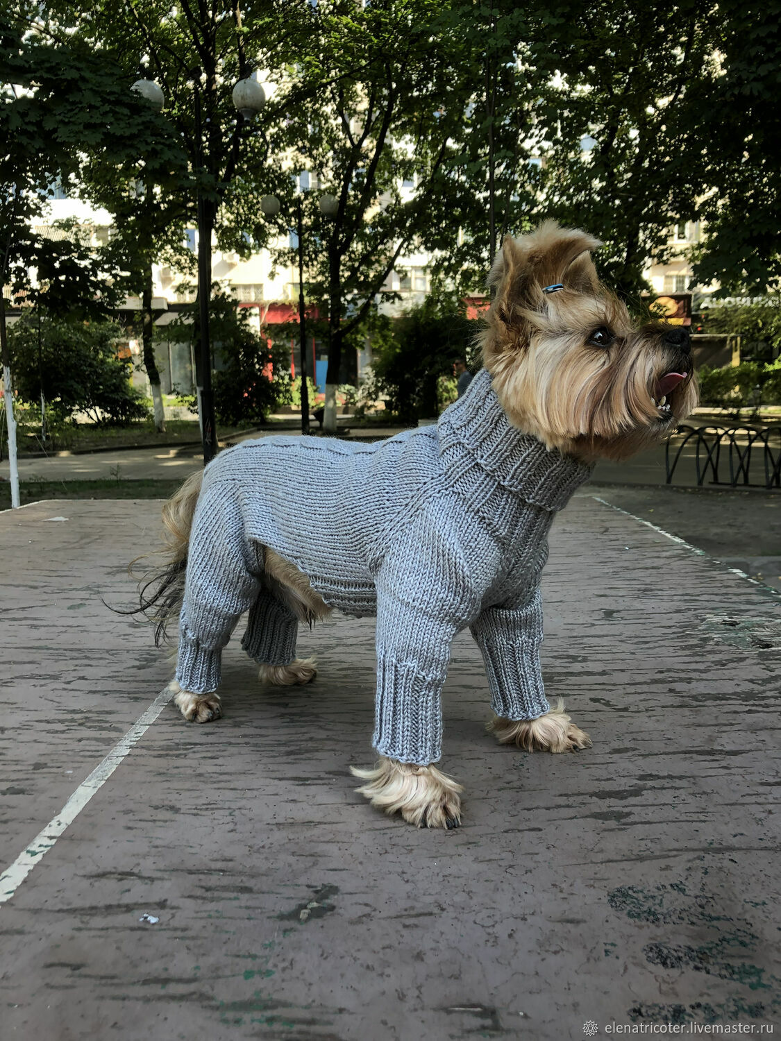 Вязаный свитер для собаки своими руками, с выкройкой