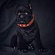 Soft toys: Cane Corso - The Black Lord, Stuffed Toys, Karpinsk,  Фото №1