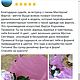 Фартук без завязок. Передник женский чёрный непромокаемый. Фартуки. Татьяна Казанская. Ярмарка Мастеров.  Фото №8