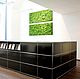 Phyto. Vertical gardening. Interior design. Phyto. Reindeer moss. Stabilized moss. Online shopping on My Livemaster.  Фото №2