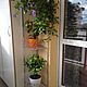 Openwork corner shelf for flowers, Flower stand, Vitebsk,  Фото №1