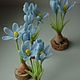  Miniature blue crocus. Gifts for March 8. FLOWERRINA (flowerina). My Livemaster. Фото №5