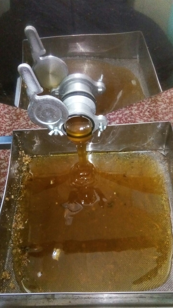 Мой профиль