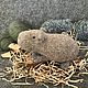 Капибара. Мягкие игрушки. Игрушки добрые (Оксана). Ярмарка Мастеров.  Фото №6