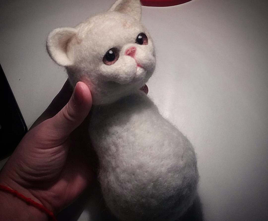 Котик в процессе работы, голова на шарнире 