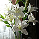 Лилия белая из полимерной глины, Букеты, Волгоград,  Фото №1