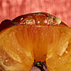 Order  Tomato. experimental black and white arty. Livemaster. . Photo frames Фото №3
