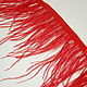 Trim of ostrich feathers 10-15 cm red. braid. Weakne - furniture and fabrics (weakne). Online shopping on My Livemaster.  Фото №2