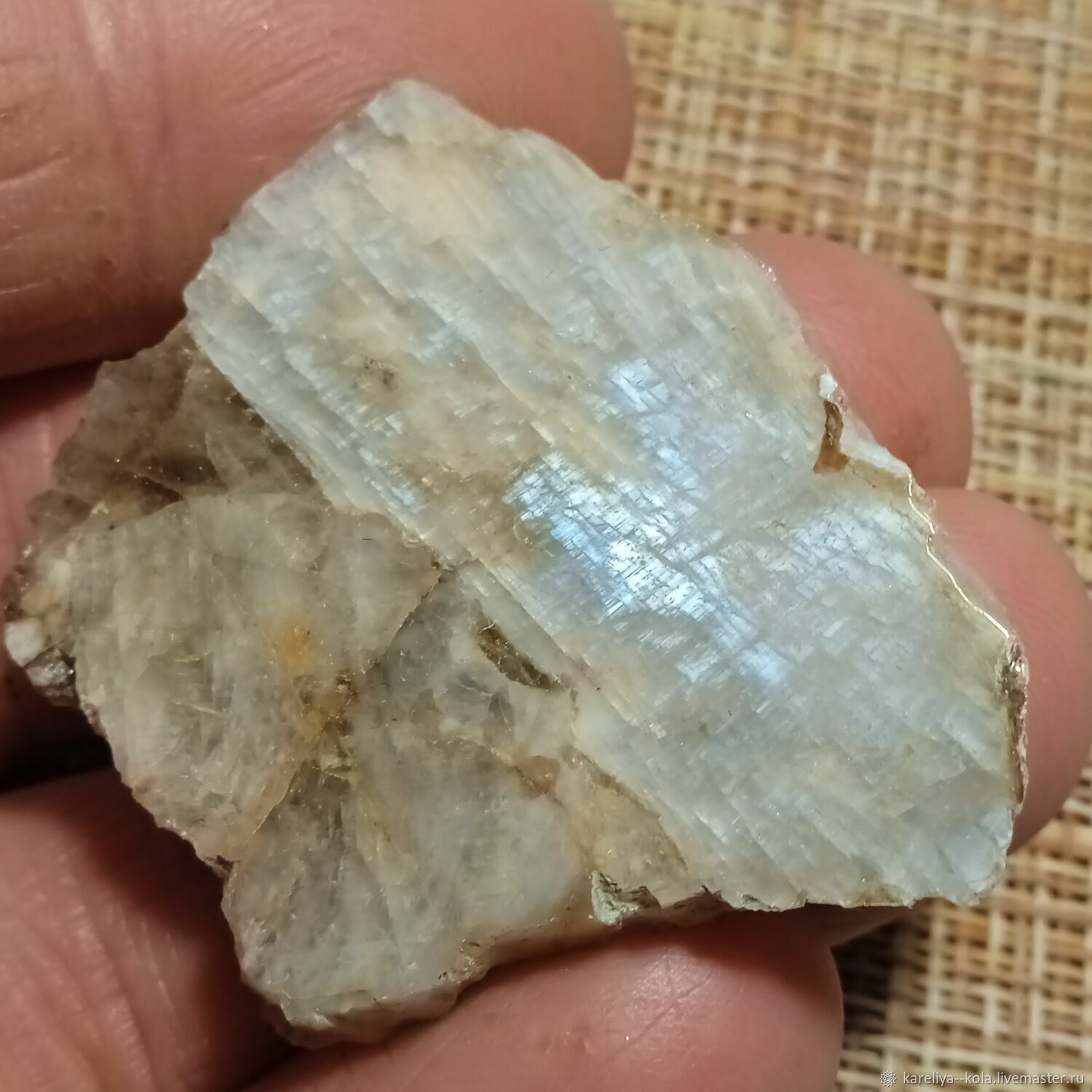 Беломорит ,полированные образцы купить в интернет-магазине Ярмарка ...