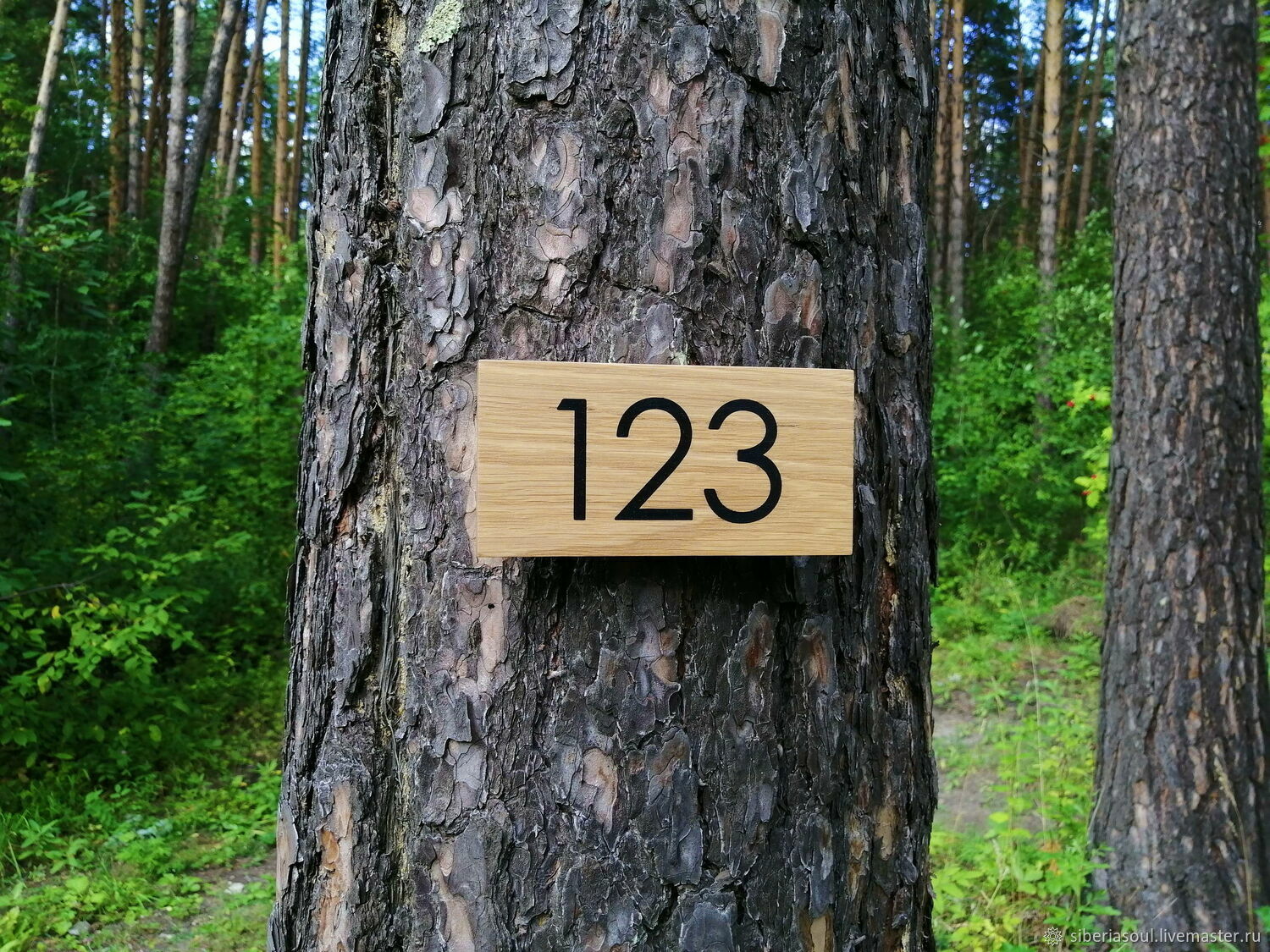 Парящие номера на дереве. Номера на дереве.