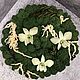 Круглая фитокартина с орхидеями. Фитокартины. Ns-flordekor. Ярмарка Мастеров.  Фото №4