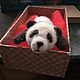 Panda, Stuffed Toys, Orenburg,  Фото №1