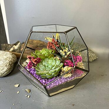 Цветы и флористика ручной работы. Ярмарка Мастеров - ручная работа Флорариум с суккулентами лавандовый Раф. Handmade.