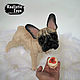 Newman - French bulldog. Dolls. CuteToys. Online shopping on My Livemaster.  Фото №2