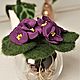 Viola Aerofity (Фиалка-аэрофит). Растения. VALYANDIA. Интернет-магазин Ярмарка Мастеров.  Фото №2