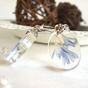 Украшения handmade. Livemaster - original item Earrings with Real Petals of Blue Cornflower Rhodium Transparent. Handmade.
