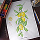  Sprig of lemons watercolor. Pictures. vettochka. Online shopping on My Livemaster.  Фото №2