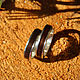 Деревянные кольца "Дафф" ( пламенный эбен, сталь), Rings, St. Petersburg,  Фото №1