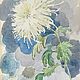 Хризантема. Анна Чепель. 40 x 30 см., бумага, акварель, 2005. 
Изображение цветка белой хризантемы на акварельном фоне, крупным мазком в серо-голубых тонах.