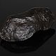 Метеорит Алетай. Скульптуры. MeteoritеStyle. Ярмарка Мастеров.  Фото №4