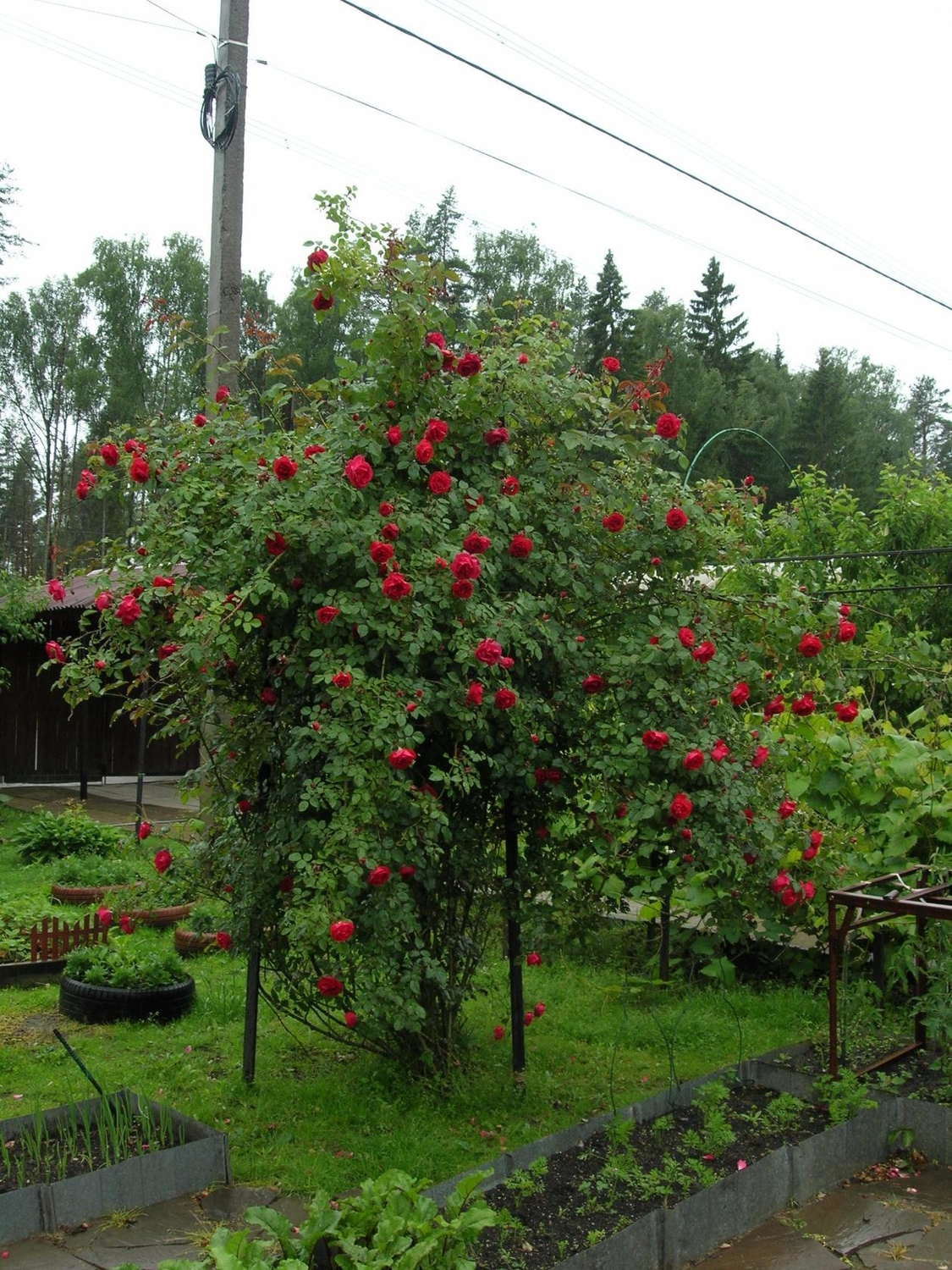 Вдохновляет.