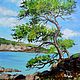  Морской пейзаж. Дерево на скалистом берегу, Картины, Белгород,  Фото №1