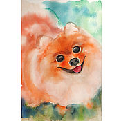 Картины и панно handmade. Livemaster - original item Painting pomeranian portrait of a dog in watercolor 37h25 cm. Handmade.