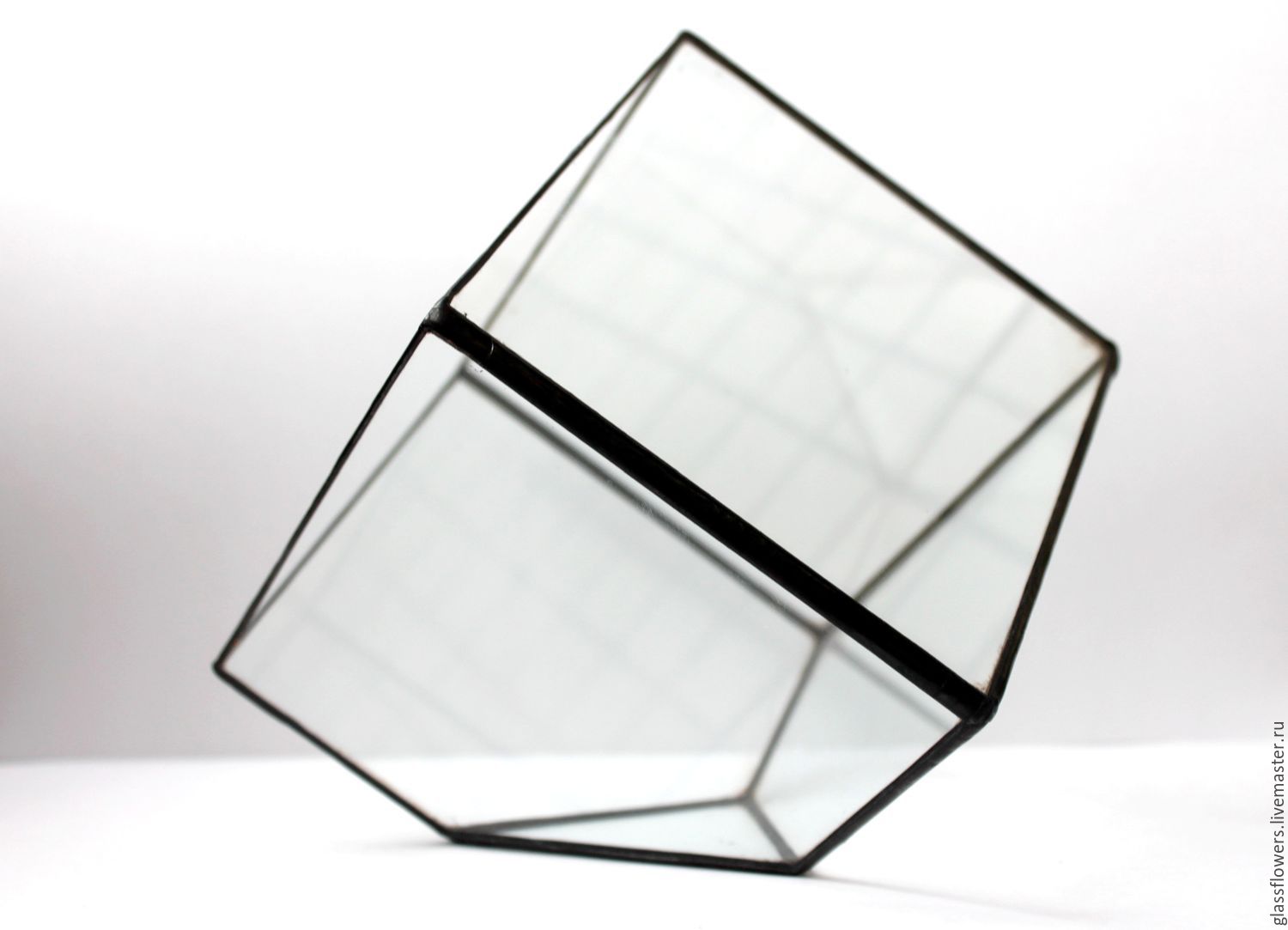 Куб с цветами внутри. Флорариум куб. Флорариум в Кубе. Стеклянный куб. Прозрачный стеклянный куб.