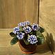 Violets from cold porcelain. Houseplants. Marina Zhadan. Online shopping on My Livemaster.  Фото №2