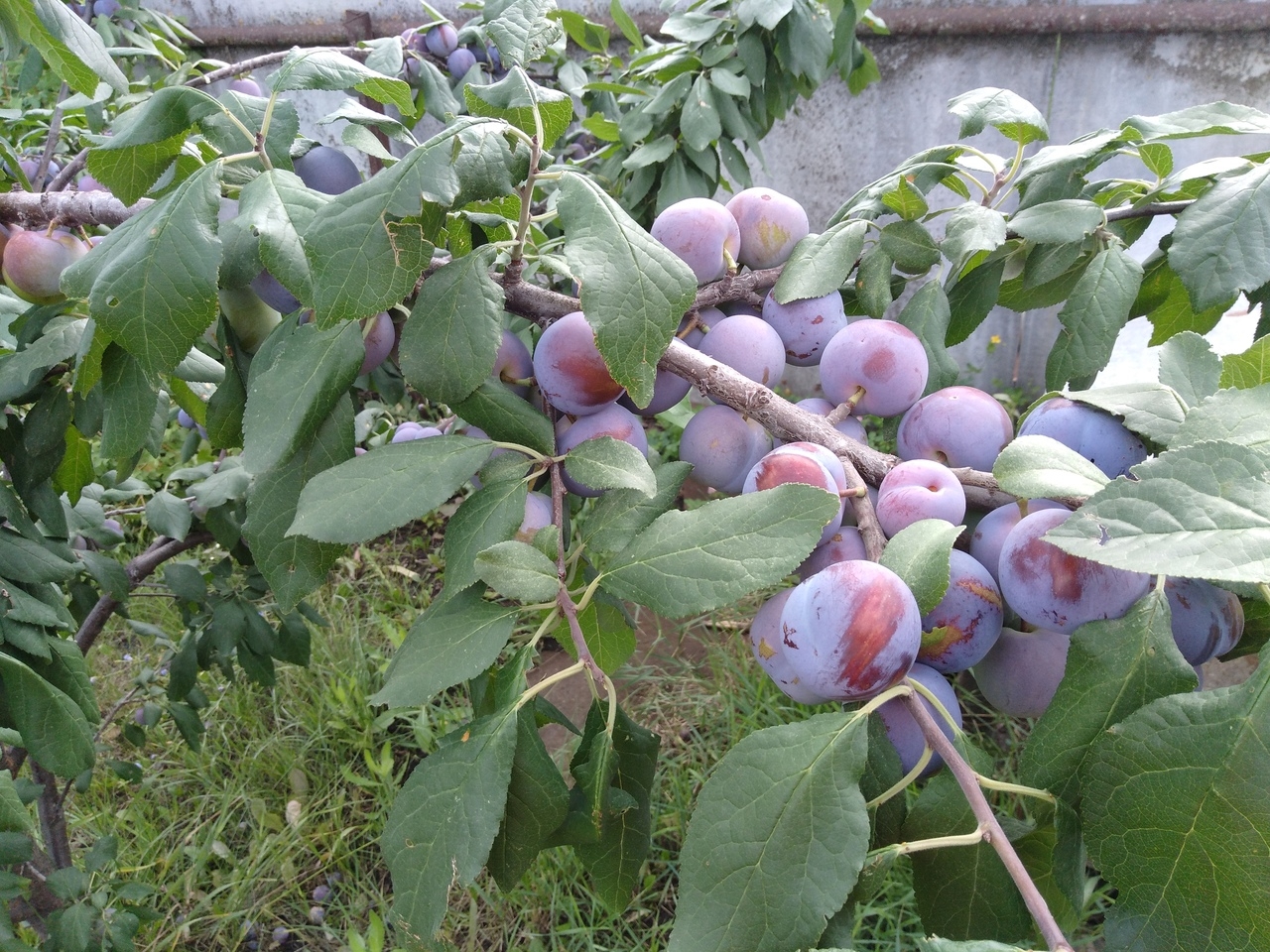 Мой профиль