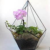 Цветы и флористика handmade. Livemaster - original item The Floriana. Geometric Floriana with pink Orchid and fittonia. Handmade.