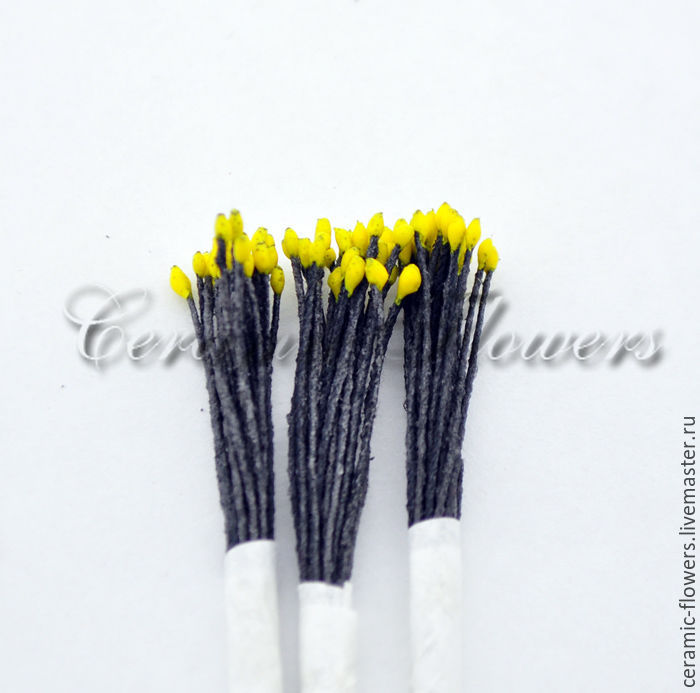 Yellow stamens on a black thread, small, Thailand, Stamens, Rostov-on-Don,  Фото №1