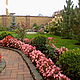 Design small gardens, Design, Zelenograd,  Фото №1