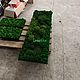 Заказать Панно из мха | картина из мха 150*50см. Green.Box. Ярмарка Мастеров. . Панно Фото №3