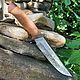 Knife 'Caesar' Zlatoust, Gifts for hunters and fishers, Chrysostom,  Фото №1