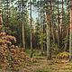 Картина маслом Пейзаж, Картины, Брянск,  Фото №1