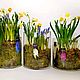Первоцветы в Цилиндре 30см Весеники на 8 марта. Подарки на 8 марта. DARK FLORIST Флористика Декор ЦВЕТЫ. Интернет-магазин Ярмарка Мастеров.  Фото №2