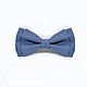 Bow tie gray-blue children, Butterflies, Moscow,  Фото №1