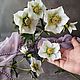Морозник. Зимовник. Helleborus. Полимерная глина (холодный фарфор). Букеты. Lovely flower. Ярмарка Мастеров.  Фото №10