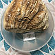 Agaricus (mushroom) larch sponge from 50g. Grass. dar22. Online shopping on My Livemaster.  Фото №2