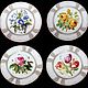 Gorgeous plates 'Limoges flowers', Limoges, France, Vintage interior, Moscow,  Фото №1