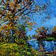 Oil painting'October on the yard', Pictures, Nizhny Novgorod,  Фото №1
