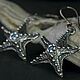 Earrings Silver with Natural stones Silver Starfish earrings, Earrings, St. Petersburg,  Фото №1